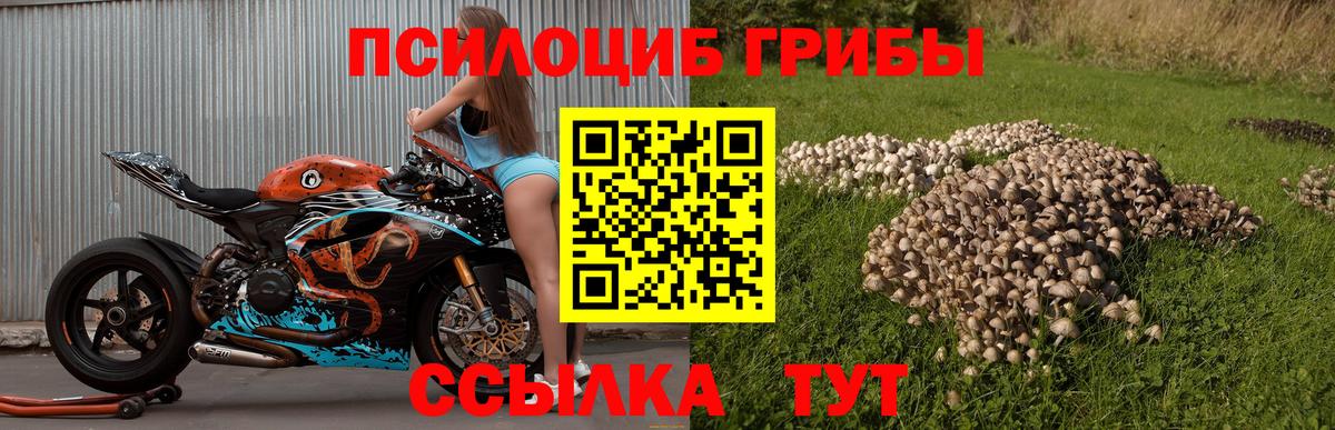 Псилоцибиновые грибы Magic Shrooms Сибай