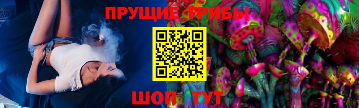 Псилоцибиновые грибы MAGIC MUSHROOMS  Псилоцибиновые грибы Psilocybe  Вход с VPN  Сибай 